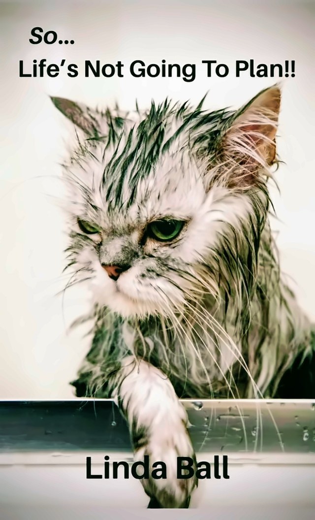 So… Life's Not Going To Plan!!