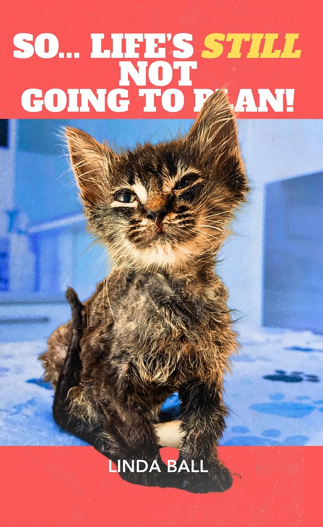 So… Life's STILL Not Going To Plan!